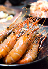 Grilled Shrimp in a plate on barbecue the table