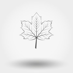 Maple leaf.