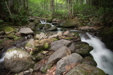Mountain stream