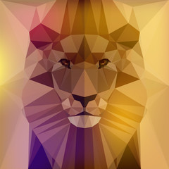 Vector illustration - face of a lion