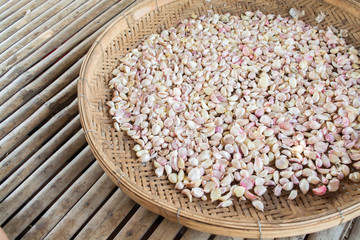 Dry organic garlic close up shot