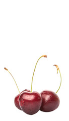 Red cherry fruit over white background