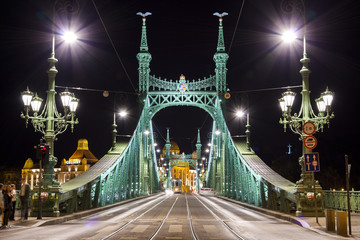 Fototapeta na wymiar Liberty bridge in Budapest, illuminated at night