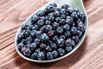 Blueberry