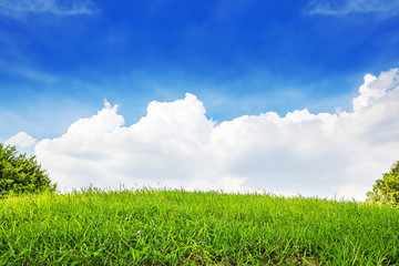 Obraz premium Green field and white clouds on blue sky