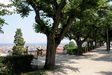 Allee im Park Kloster Michaelsberg