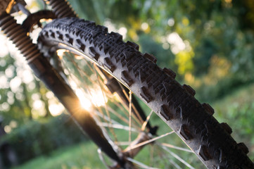 Bicycle wheel on sunset background