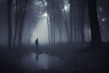 Rolgordijnen spookachtig donker bos © andreiuc88