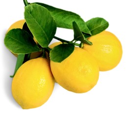 Lemon, Lime, Citrus Fruit.