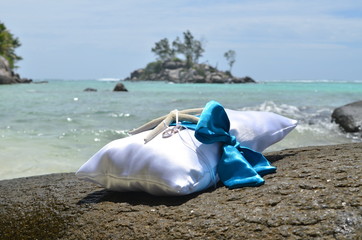 Marine themed ring pillow