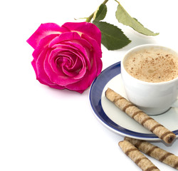 rose and cappuccino close up