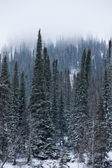 Winter Mountain Landscape