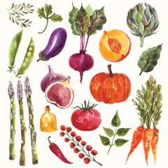 Watercolor vegetables and fruit