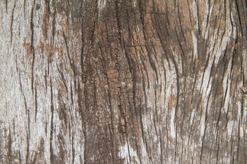 Old wood  background