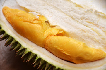 Durian fruit ripe for eaten