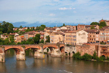 Obraz premium View of the August bridge in Albi, France