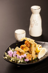 Japanese food material