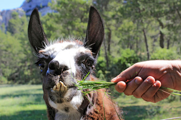 c'est bon © helenedevun