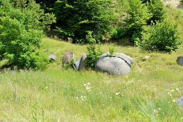 Trovantii – the strangest ‘living stones’ in Romania.