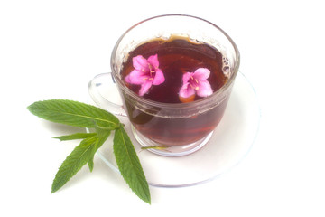 healing fragrant tea from pink flowers with Melissa