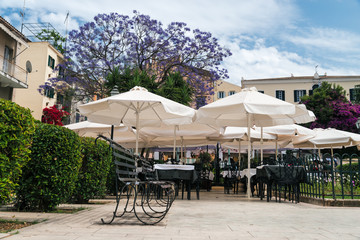 Greek cafe with flowers  of the Corfu town, Greeece