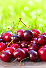 juicy ripe cherries