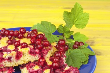 Domestic currant dessert, made from freshly-picked currants. Homemade sweet dessert on the plate. Summer fruit refreshment.
