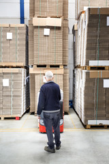 Fototapeta premium Worker Standing In Front Of Stockpiles