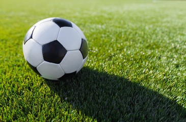 Fototapeta na wymiar Soccer Ball, Ball, Grass.