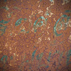 Texture of rusty iron. Background and texture of rusty on iron