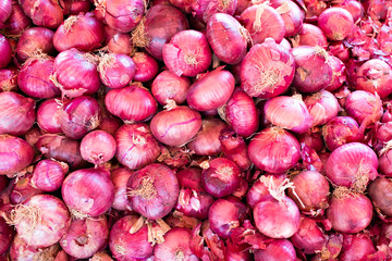 Fresh red onions