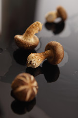 Shiitake Mushroom, Chinese mushroom