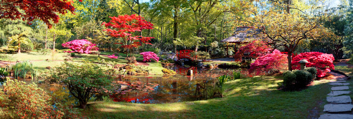 nature background panorama