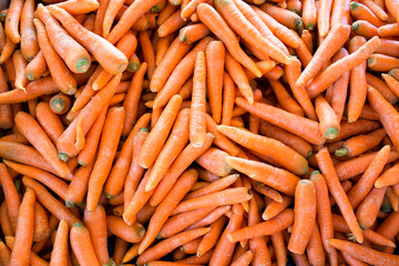 Fresh young carrots on farm market