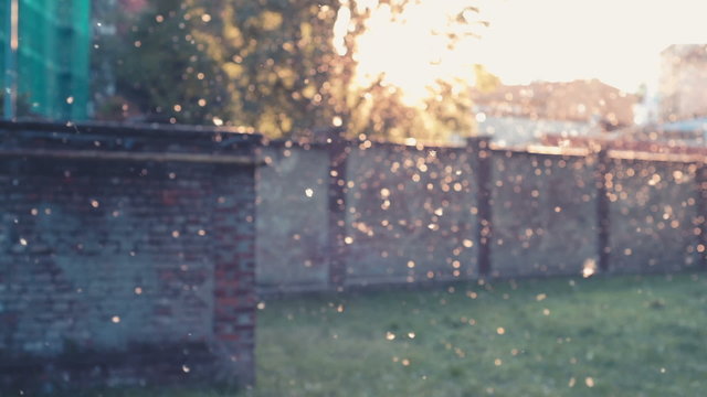 A blurred pollen tsunami in a city park &ndash; surreal, dreamy concept