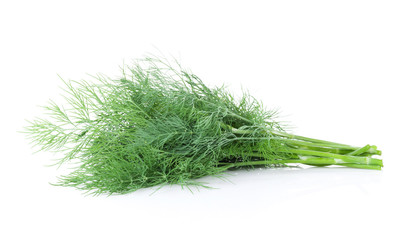 Fresh garden herbs. Dill