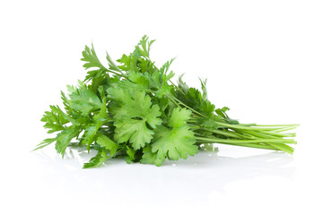 Fresh garden herbs. Parsley