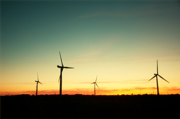 Obraz premium Wind turbines at sunset