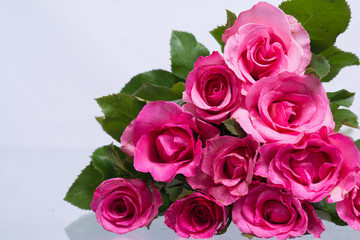 Pink roses.