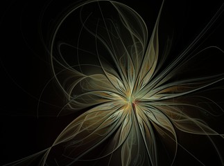 Transparent abstract fractal flower
прозрачный абстрактный фрактал цветок