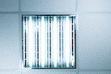 Bank of fluorescent lights 