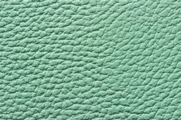Green leather texture or background