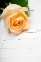 Calendar, Valentine's Day, Rose.