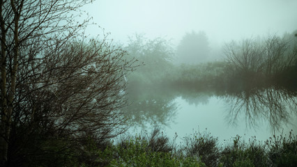 Morning fog on a lake