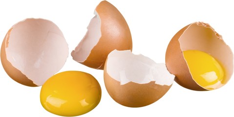 Eggs, Animal Egg, Egg Yolk.