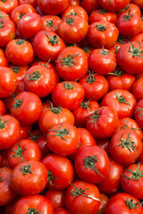 Tomates naturales, recien sacados de la tierra y sin lavar, en el mercado