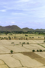 Obraz premium Paddy fields barren and empty.