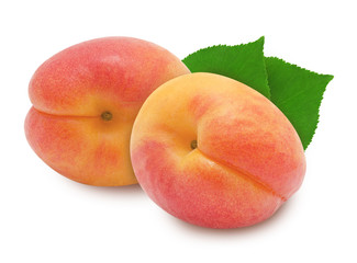 Two fresh apricots with green leaves isolated on white background. Design element for product label.