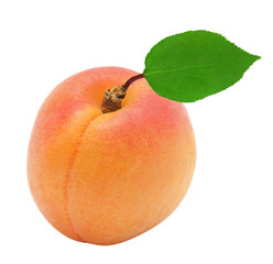 One fresh apricots with green leaves isolated on white background. Design element for product label.