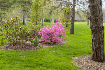 Landscape of Dow garden in Midland, Michigan